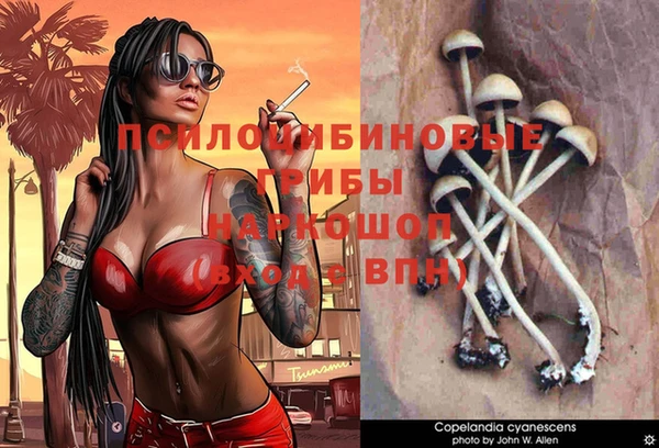 apvp Красноперекопск