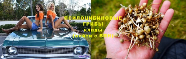 apvp Красноперекопск