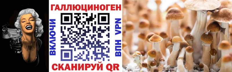 Галлюциногенные грибы Magic Shrooms  дарнет шоп  Ковдор 